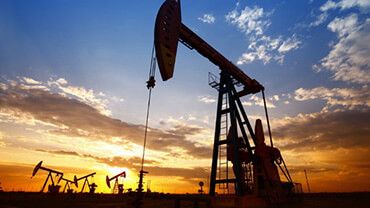 Petrosadid: Projects: Drilling