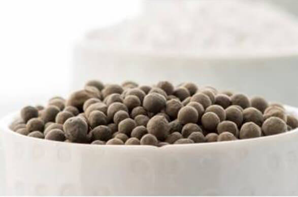 Petrosadid: Methanation Catalyst