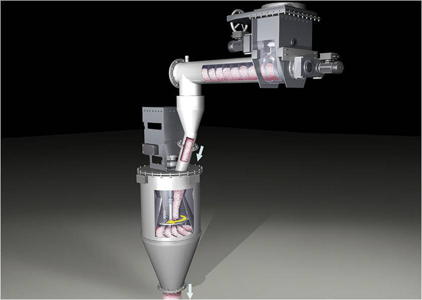 Petrosadid: Feeding and Mixing