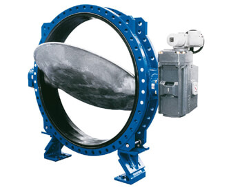 Petrosadid: Butterfly Valve